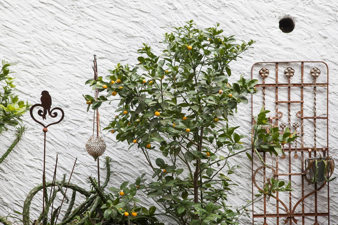 Caffe Dell'Arte Boutique Rooms Locarno Bagian luar foto